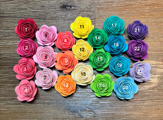 Rolled Paper Flowers